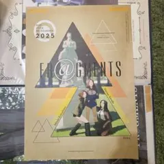 FR@GMENTS　B2ポスター　川島瑞樹　沢田麻理菜　ヘレン