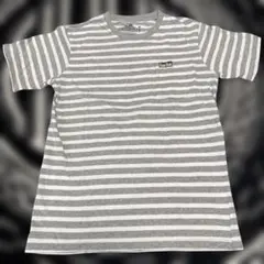 BLUE BLUE FRUT OF THE LOOM Tシャツ