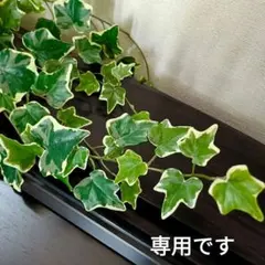 Ribbonista様 リクエスト 2点 まとめ商品