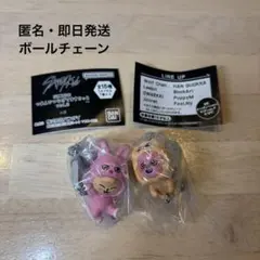 SKZOO つまんでつなげてますこっと vol.2 チャンビン＆スンミン②