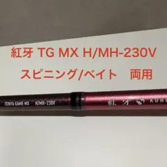 DAIWA 紅牙 TENYA GAME MX H/MH-230Vのサムネイル