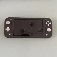 Nintendo Switch Lite 本体　グレー　美品