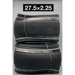 新品未使用　SCHWALBE X-ONE ALLROUND 29インチ 2本 新品未使用 SCHWALBE X-ONE ALLROUND 29インチ 2本 - メルカリ