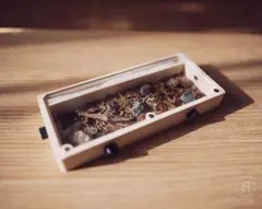 Item thumbnail for item ea9885a6-926d-4095-bf15-021c302aa2d9