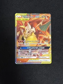 ポケモンカードゲーム リザードン＆テールナーGX