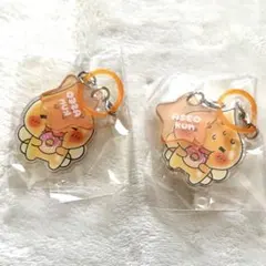 しずくちゃんちいさなしずくのようせいたちアクリルめじるしチャームアセオ君セット