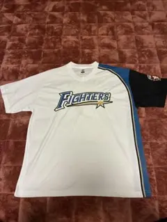 直筆サイ北海道日本ハムファイターズ レプリカユニフォーム 大田泰示 Lサイズ ホーム用 背番号5 日ハム  札幌市 清田区 平岡 北海道日本ハムファイターズ 大田泰示 2017限定ユニフォーム - メルカリ