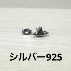 2025年最新】vivienne westwood ピアス nanoの人気アイテム