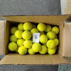 Item thumbnail for item 507a6074-aa70-4025-a677-fcb2e1b2c620