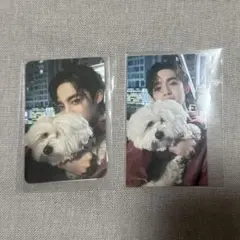 SEVENTEEN セブチ FML YES24 会場限定 トレカ エスクプ SEVENTEEN セブチ FML YES24 会場限定 トレカ エスクプ