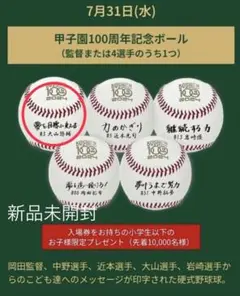送料無料 広島カープ 大野豊 引退記念ボール - メルカリ