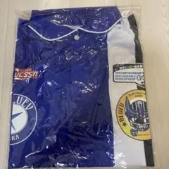 大阪エヴェッサ バスケットボール