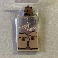 Item thumbnail for item 9cd3968d-8459-4ecd-a614-66eddd91599a