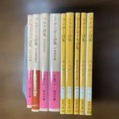 ランボー全集 全3巻 • ランボー著作集(原書) • 特集雑誌2冊 ランボー全詩集 / アルチュール・ランボー 中地義和 湯浅博雄