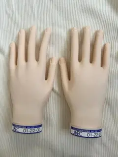 JNEC 認定モデルハンド