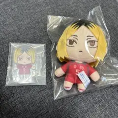 ハイキュー ラッキーくじ ぬいぐるみマスコット アクリルスタンド 孤爪研磨