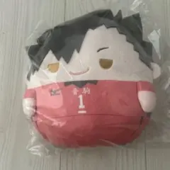 ハイキュー！！ ぬいくじ C賞 黒尾鉄朗