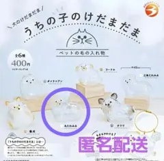 うちの子のけだまだま