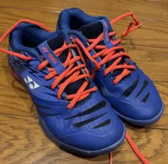 Item thumbnail for item ffda642d-9e05-4f99-afcd-ddee4be362a9