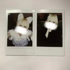 2025年最新】ポルターガイスト てんの人気アイテム - メルカリ