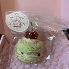 【DIY-LaDoDo】チェリーマカロンスクイーズ