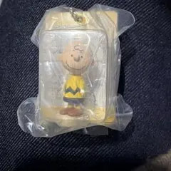 PEANUTS パッケージミニチュアコレクション チャーリーブラウン
