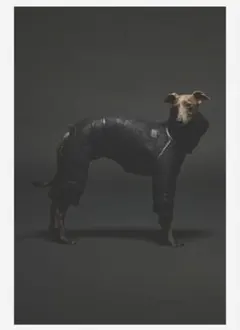 sivi B3 フライトスーツブラック