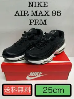 25cm ナイキ エアマックス95 プレミアム[5000] AIR MAX 95