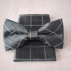 蝶ネクタイ　ポケットチーフ　2点セット