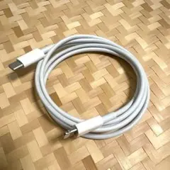 純正 iPhone 充電器 タイプCライトニングケーブル Apple正規品