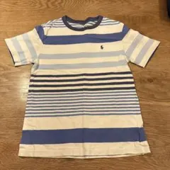 POLO RALPH LAUREN 青白ストライプ Tシャツ M