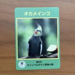 Item thumbnail for item a3fdc4a3-0dee-44a7-8901-bb16b445c1bf