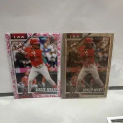 Denzer Guzman Topps シリアルナンバー 2枚セット