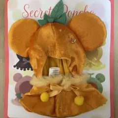 ディズニーストア　シークレットポンチョ　オレンジ　みかん
