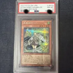 2026年最新】風霊媒師ウィン psa10の人気アイテム - メルカリ