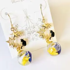 ハーバリウムピアス -黒猫の夜想曲-