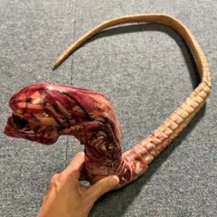 Item thumbnail for item 634df7d2-c889-4830-803b-880259c84820