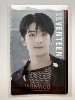 SEVENTEEN セブチ トレカ ウォヌ ウエハース シール