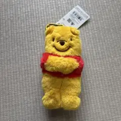 東京ディズニーリゾート　パスケース　プーさん