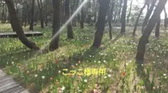 こっこ様専用ページです！