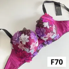 2025年最新】サルートf70の人気アイテム - メルカリ