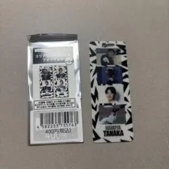 ロッテ コリアンシークレットフォトグレイ 田中晴也
