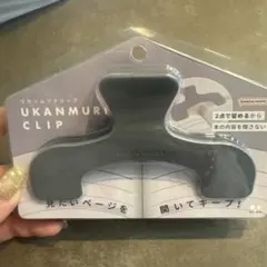 Item thumbnail for item 3b62aaf9-c512-4ed4-9ce1-9ef1ea8e4415