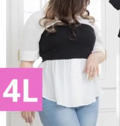 Item thumbnail for item 13c45f73-ff7b-4043-b8f3-e6475c0fb41c