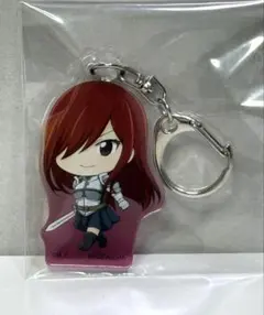 新品未開封 フェアリーテイル グレイ アクリルキーホルダー2セット 2025年最新】タイトル：フェアリーテイル キーホルダー