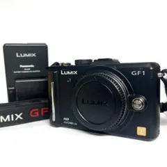 2026年最新】lumix gf1 充電器の人気アイテム - メルカリ