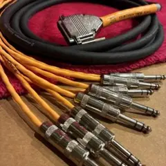 Item thumbnail for item bd1b6961-c71c-41a9-bc35-7346335d326c