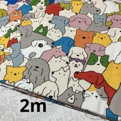 韓国　コリアコットン　犬　動物柄