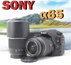 2026年最新】sony α77iiの人気アイテム - メルカリ
