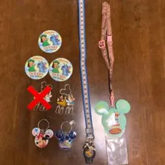 アメリカのディズニーランドと東京ディズニーランドの色々
